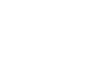 Mobile Minds Logo Inverterad