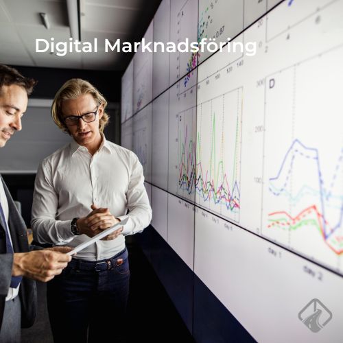 Digital marknadsföring