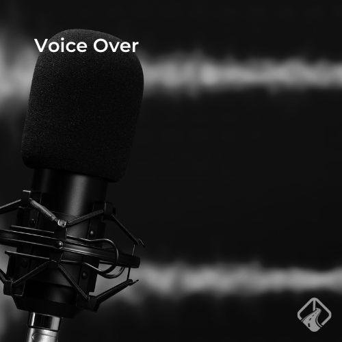 Voice Over